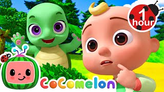 Peekaboo  Fantasy Animals  CoComelon Animal Time  Nursery Rhymes for Babies [upl. by Anrim552]