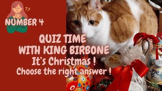 Quiz Time 4 with King Birbone Its Christmas 😺❤️ cats quiz christmas quiztime funnycats [upl. by Mommy730]