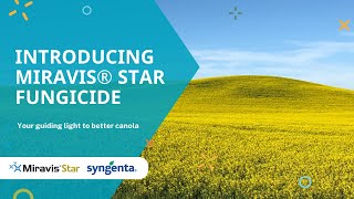 Introducing Miravis® Star fungicide [upl. by Hana325]