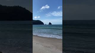 Coromandel  New Chums Beach [upl. by Doownyl898]