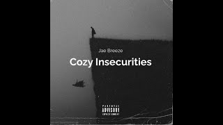 quotCozy Insecuritiesquot Lyric Video [upl. by Esaele]