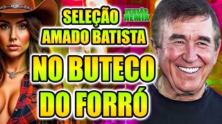 SELEÇÃO  AMADO BATISTA NO BUTECO REMIX VERSÃO FORRÓ SOM REMIX [upl. by Nnylirak]