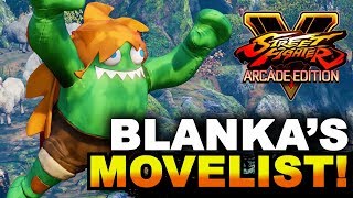 SFV AE 🔥 BONCHAN Sagat vs NISHIKIN Blanka  Ranked Match 🔥 SF5 TenSFV [upl. by Euqinemod]