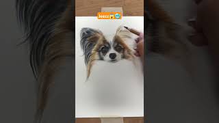 The “Best” Dog Drawing Tutorial On YouTube [upl. by Thedric874]