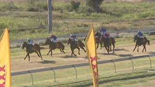 Yeppoon 20240803 Race 4 [upl. by Cicily]