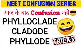 DIFFERENCE BETWEEN PhylocladeCladode and Phyllode with trick  PhylocladeCladodePhyllode [upl. by Rairb]