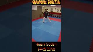 Kata Tutorial Heian Godan karate karatekata heiangodan [upl. by Aciamaj]