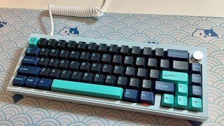 Finalkey V65 R2  TIFFANY Gateron G Pro Silver [upl. by Asyal]