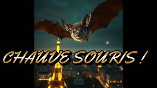 Michael McMurran  La chauve souris  Bigard Metal [upl. by Shir]