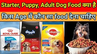 Puppy Starter Puppy adult dog food kya hai  dog food  dog food pedigree  pedigree [upl. by Gardia]