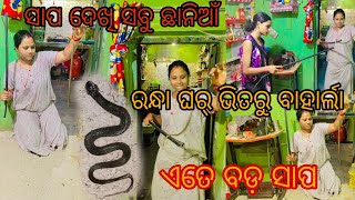 ରନ୍ଧା ଘର୍ ଭିତରେ ସାପ snake helpline ବାଲେ ଆସିଲେ ନାଇଁ 😔odiavlogspinkyalltypevlogshousewifelife [upl. by Capp511]