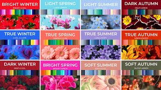 Find Your Color Season with 12Season Color Analysis [upl. by Winsor238]