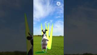 Dhinka chika cow dance cowdance dance trending cow funnyvideo funny trending [upl. by Arais]