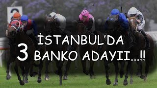 🔥CAZİP ATLAR🔥 4 AĞUSTOS PAZAR İSTANBUL AT YARIŞI TAHMİNLERİ ve YORUMLARI [upl. by Primaveria430]