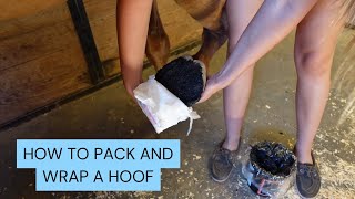 HOW TO PACK A HORSE’S HOOF [upl. by Tarazi]