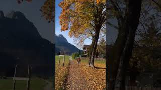 Autumn in Garmisch Germany 🇩🇪 🍂 [upl. by Josephson]