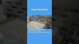 Nougat Bar Production Line equipment machine productionline nougat nougatbar nougatcandy [upl. by Haroved]