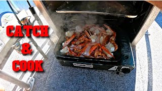 Perth Crabbing  Ep5 Boat Catch And Cook Plus A Look Underwater [upl. by Felicie]