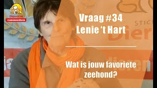 Vraag 34 DierenLot  Lenie t Hart  Favoriete Zeehond [upl. by Haral]