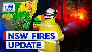 Homes lost and land destroyed in terrifying taste of bushfire season in NSW  9 News Australia [upl. by Norek]