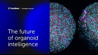 Thomas Hartung and colleagues  The future of organoid intelligence  Frontiers Forum Deep Dive 2023 [upl. by Sherburne]