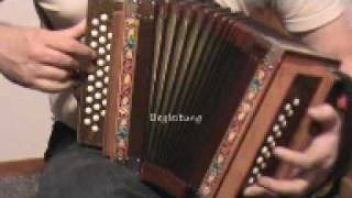 Swiss accordion trio Schwyzerörgeli trio [upl. by Bannasch]