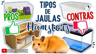 TIPOS de JAULAS para HAMSTER  TODO LO QUE DEBES SABER [upl. by Moersch348]