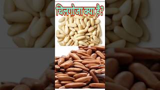 चिलगोजा क्या है और उसके फायदे chilgoza chilgoja dryfruits fitness health shorts viralshort [upl. by Scot]