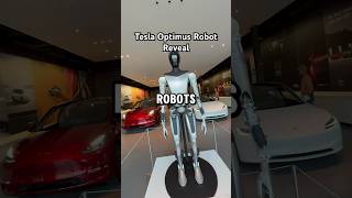 Tesla Optimus Robot [upl. by Reel]