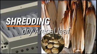 Dry Areca leaf shredder [upl. by Calabrese]