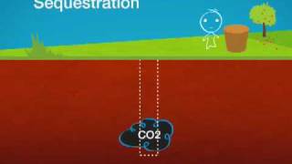 Carbon Capture Sequestration and Reuse Webisode 1 The Basics [upl. by Corri472]