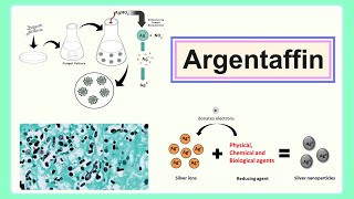 argentaffin [upl. by Bettzel]