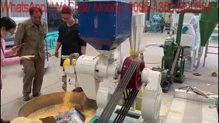 maize degerminatorcorn dehuller with polishermaize peeleriron roller peeling machine [upl. by Efinnej]