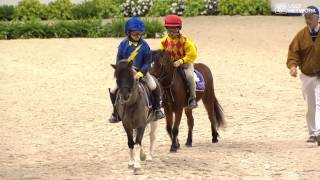 Shetland Pony Race [upl. by Behrens]