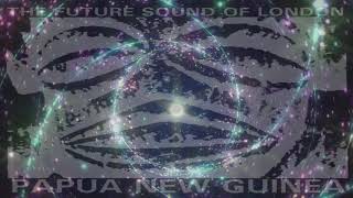 FSOL  Papua New Guinea Bio Rhythms Extended Fog Remix [upl. by Nodnelg]