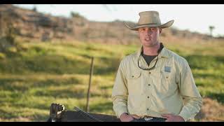 Pestivirus impacts profit Jake Smith NSW Livestock Agent [upl. by Leontine654]