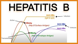 Hepatitis B SerologyInterpretation [upl. by Koren921]