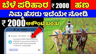 Bele parihara payment karnataka 2023 2024 ⚡ check status ⚡bara parihara online application ⚡ 2000 [upl. by Bashee962]