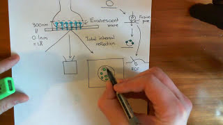 Kiss and Run Synaptic Vesicle Fusion Part 3 [upl. by Madelaine]