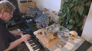 Intervention of the Void  DIY Noisebox Novation Peak Bioscape [upl. by Ttenaj]