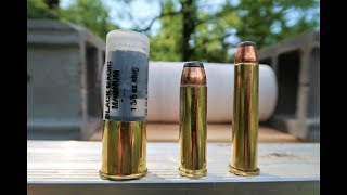 Best BEAR Rounds  12 gauge vs 4570 vs 500 magnum [upl. by Verene]