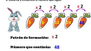 SECUENCIAS MULTIPLICATIVAS [upl. by Aihsatal517]