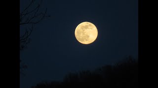 VOLLMOND 19082024  Große AUFDECKUNGEN ein Horoskop mit SPRENGKRAFT [upl. by Nadnerb]