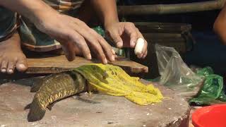 Amazing Snake Head Murrel Fish Cutting Live In Bangladesh  Big Sole Fish Cutting 2024 [upl. by Emad347]