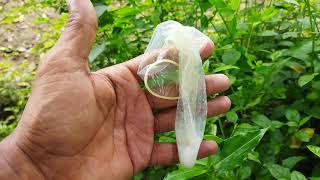 Most Popular Female Condom Use For Beginners  Top Class Female Condom In Use  TvBoxShow [upl. by Jodee]