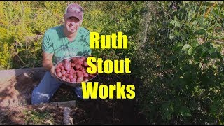 Potato Success with Ruth Stout Method [upl. by Satterlee691]