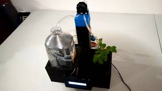 I Built An Automatic Plant Waterer [upl. by Fink753]