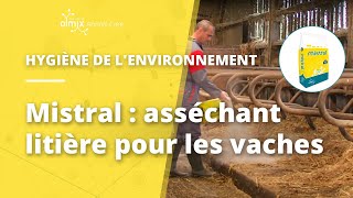 Mistral asséchant litière pour les vaches [upl. by Halda]