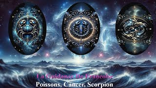 Poissons cancer Scorpion Semaine du 4 Novembre 2024 Vos projets se déroulent comme il se doit [upl. by Sayette846]