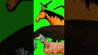 Animal stampede green screen animal stampede greenscreen yt [upl. by Bram858]